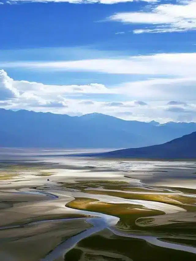 TOP 7 FAMOUS THINGS TO BUY IN NUBRA VALLEY