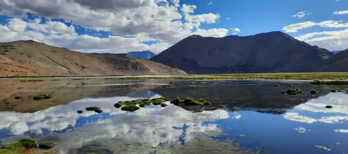 Yaye Tso Ladakh