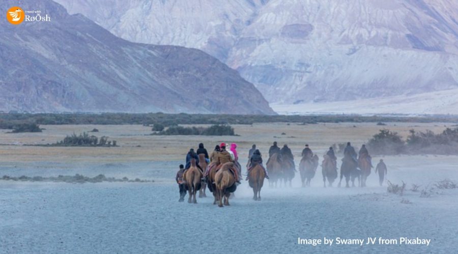 places-to-visit-in-nubra-valley