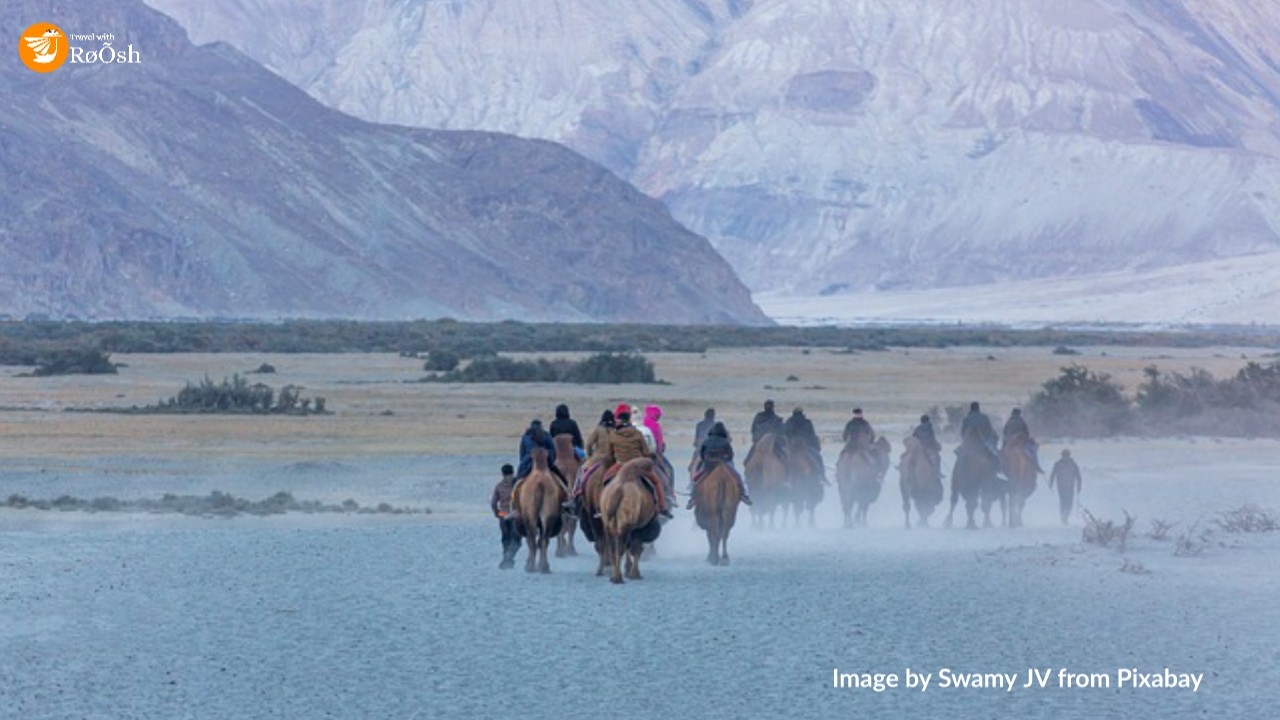 Nubra Valley Travel Guide  Everything You Need To Know — World Ghoomo